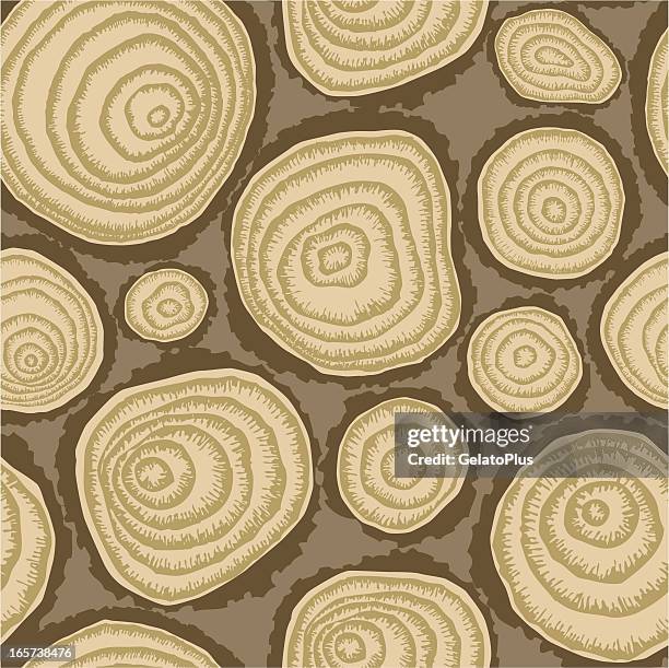 598 Tree Ring Pattern Vector High Res Illustrations - Getty Images