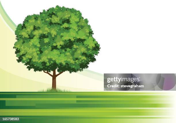 1点の一本の木イラスト素材 Getty Images 1点の一本の木イラスト素材 Getty Images