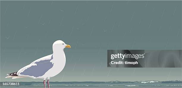 seagull and surf - winter beach stock illustrations