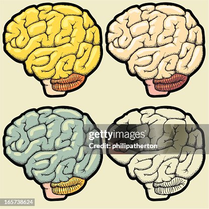 Assorted hand drawn brain illustrations Assorted hand drawn brain illustrations