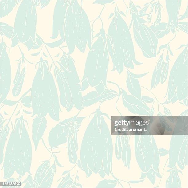 ilustrações, clipart, desenhos animados e ícones de campanulas silhueta - campanula liliaceae