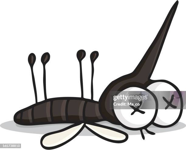 ilustrações de stock, clip art, desenhos animados e ícones de mulher/morto mosquito - animal morto