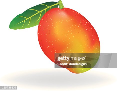 Mango Fruit Mango Fruit