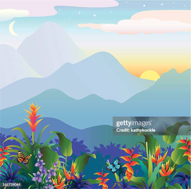 illustrations, cliparts, dessins animés et icônes de coucher de soleil tropical - plante tropicale