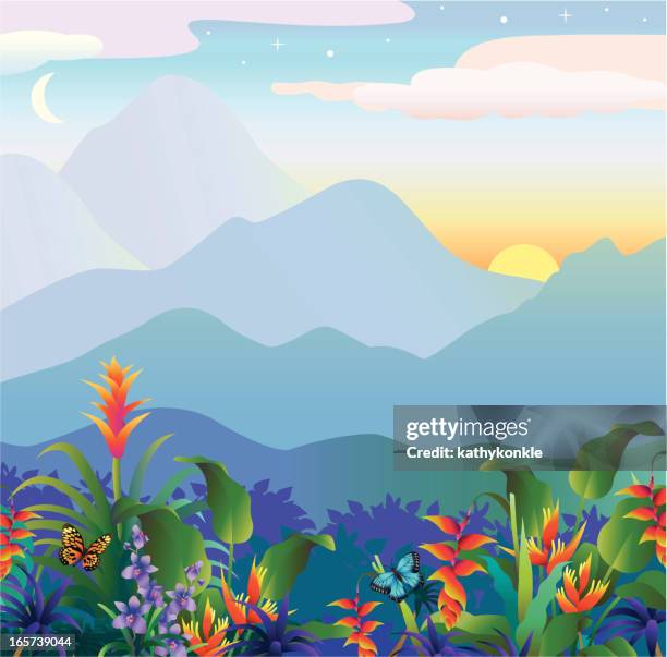 tropical sunset - moon orchid stock illustrations