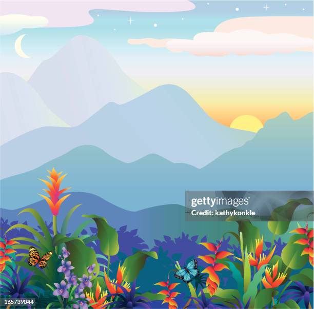 tropical sunset - flower moon stock illustrations