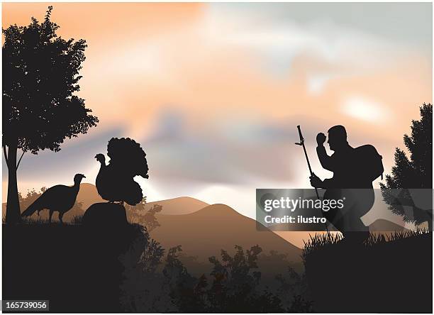 observer of nature - watching sunset stock illustrations