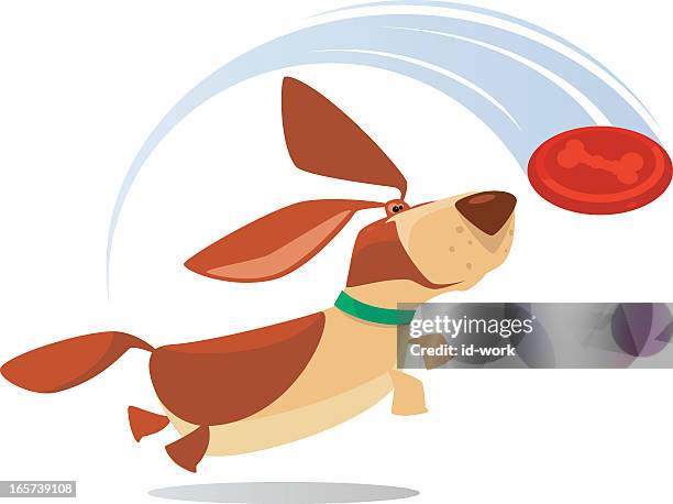 happy dog - basset hound stock illustrations