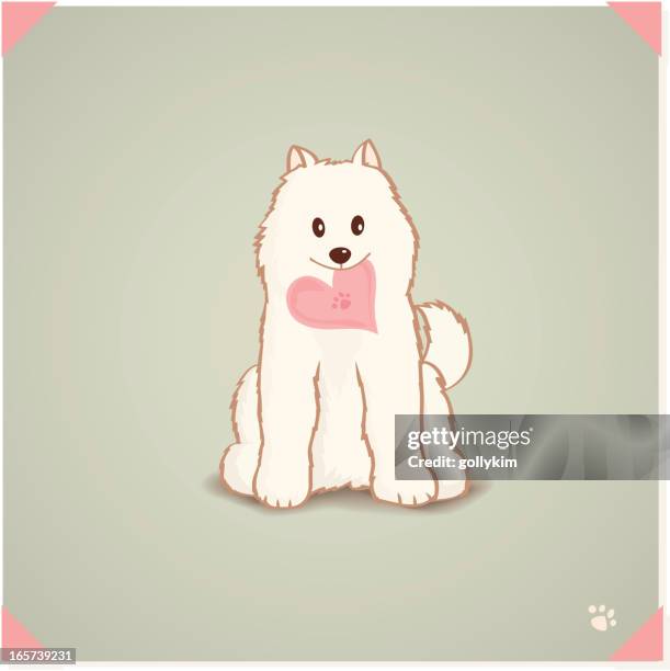 white samoyed - dog bite stock illustrations