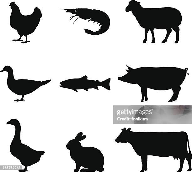 illustrazioni stock, clip art, cartoni animati e icone di tendenza di silhouette nera di fattoria e animali su bianco - shrimp animal