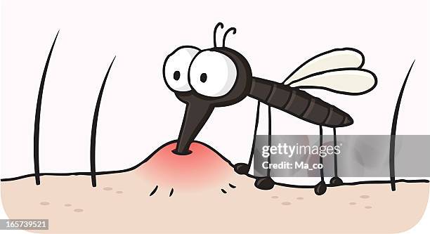 cartoon blood sucking mosquito / gnat bite - suck stock illustrations