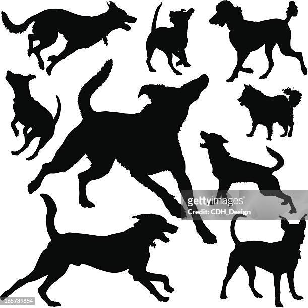 stockillustraties, clipart, cartoons en iconen met canine silhouettes - hond