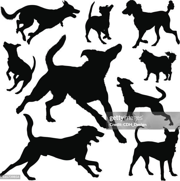 canine silhouettes - german shepherd stock illustrations