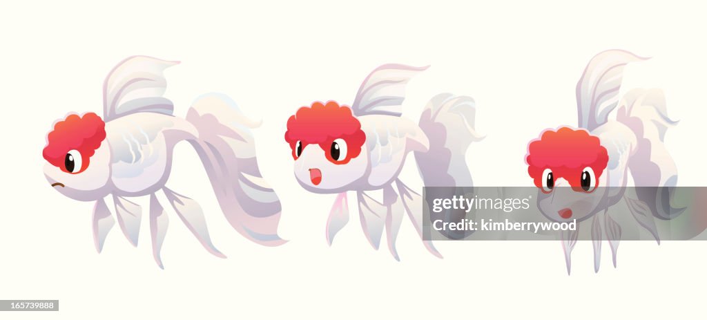Oranda Svg Oranda Goldfish High-Res Vector Graphic - Getty Images
