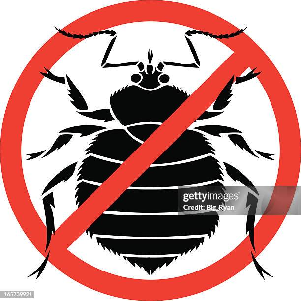 no bed bugs - bed bug stock illustrations