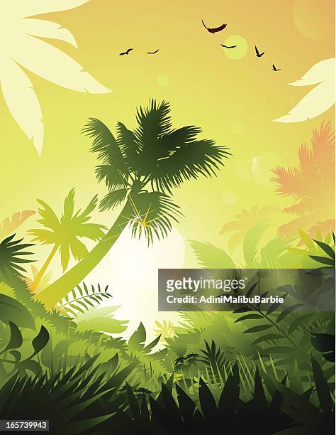 tropical - grass silhouette stock illustrations