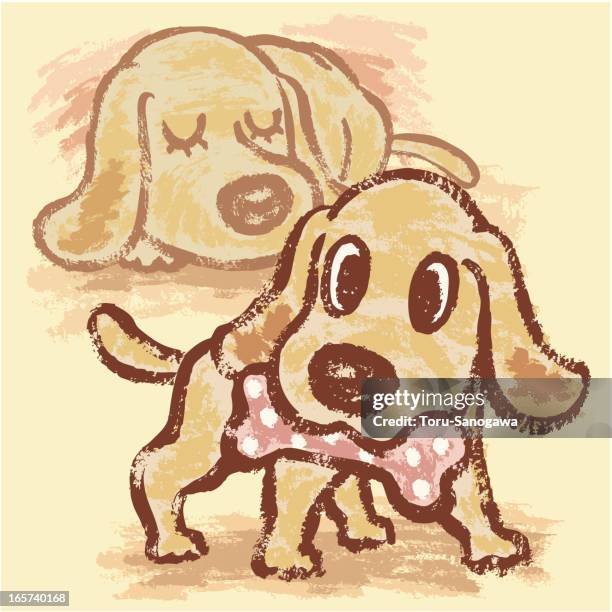 sleeping and playing dog - retriever sleeping stock illustrations
