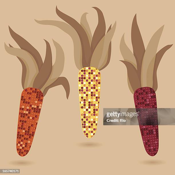 herbst-corn - indian corn stock-grafiken, -clipart, -cartoons und -symbole