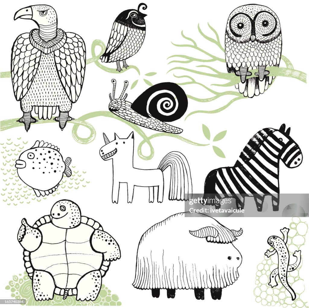 Buffalo, cebra, tortuga, búho, buitre, newt, caracol, y pez unicornio