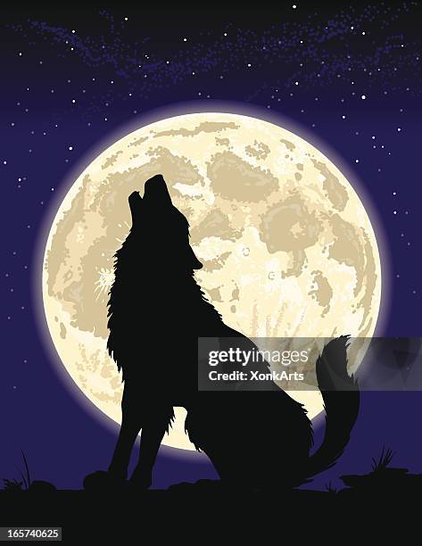ilustrações de stock, clip art, desenhos animados e ícones de lobo uivando para a lua - coiote cão selvagem