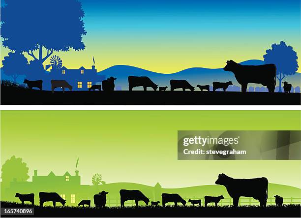 stockillustraties, clipart, cartoons en iconen met silhouettes of grazing cows on a farm at dawn and dusk - zuivelboerderij