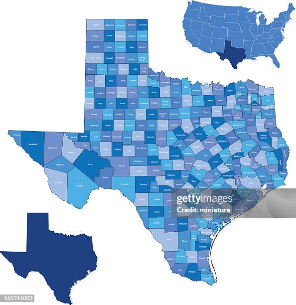 texas state & counties karte - texas stock-grafiken, -clipart, -cartoons und -symbole