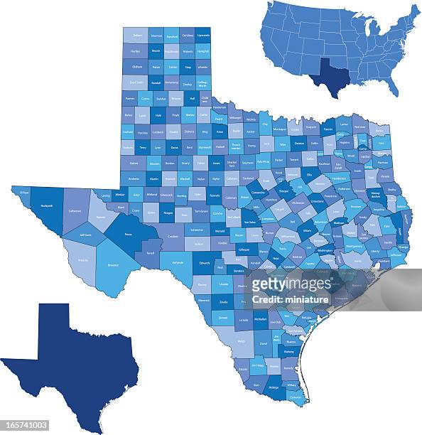 a detailed map of the state of texas with its counties - texas stock illustrations