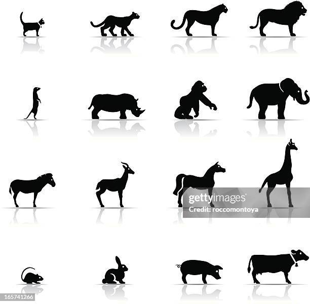 icon set tiere - erdmännchen stock-grafiken, -clipart, -cartoons und -symbole