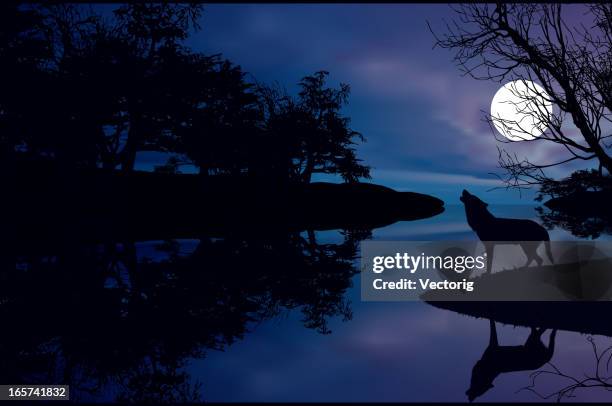 wolf and moon - lupus background stock illustrations