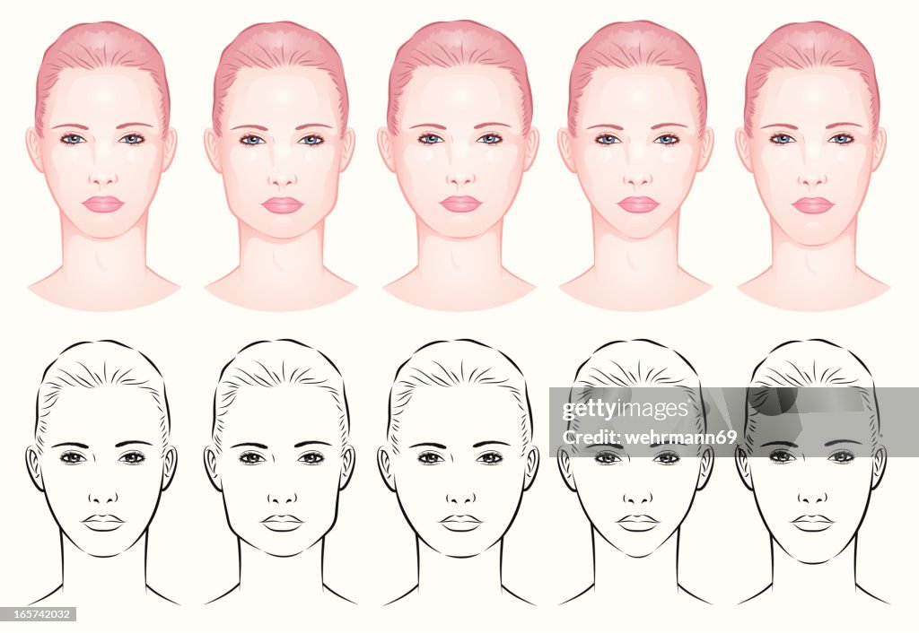 Forms of a female face