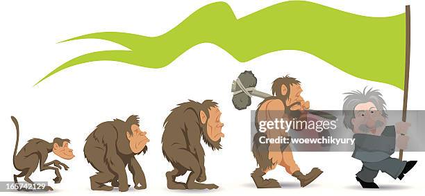 evolution - evolution monkey stock illustrations