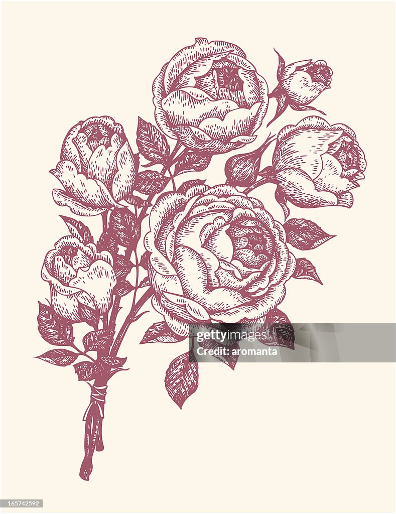 Strauß Rosen