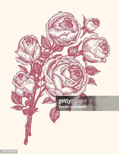 stockillustraties, clipart, cartoons en iconen met bouquet of roses - etching