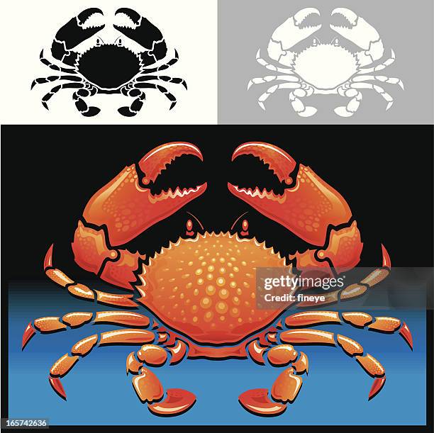 crab icon set - red crabs stock illustrations
