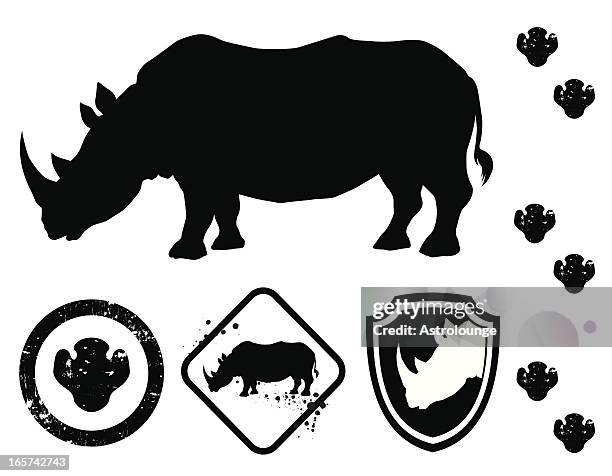 ilustrações de stock, clip art, desenhos animados e ícones de rhino - rinoceronte