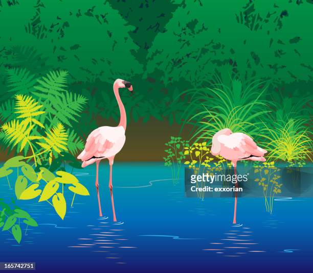 flamingo lagoon - flamingos stock illustrations