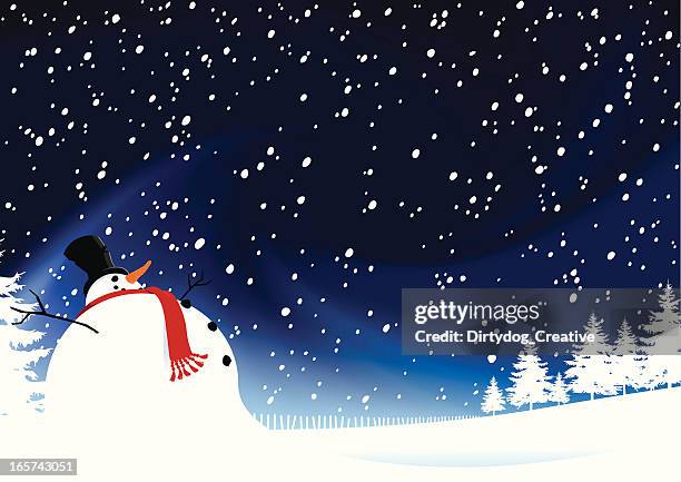 snowman at night - winter vegetables stock illustrations