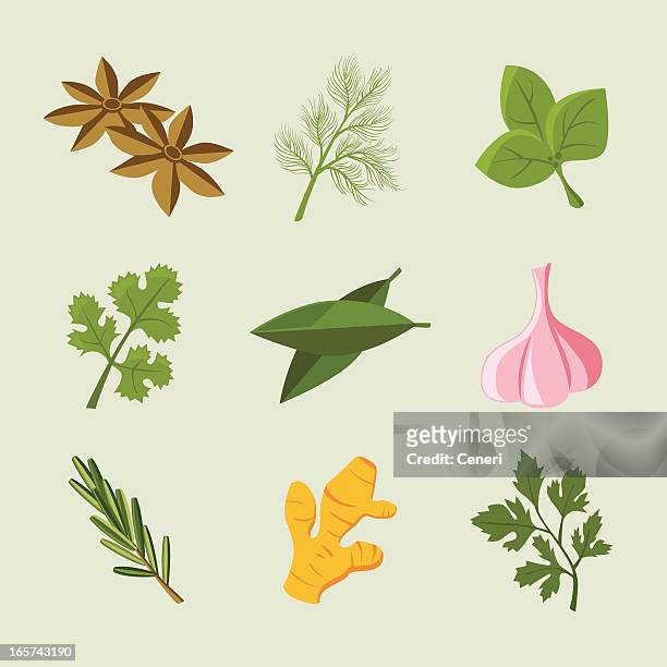 icon-set: herb & spice symbole - bay leaf stock-grafiken, -clipart, -cartoons und -symbole