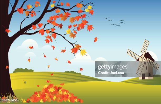 orange leaves falling off tree in fall with windmill in rear - maple leaf vector stock illustrations