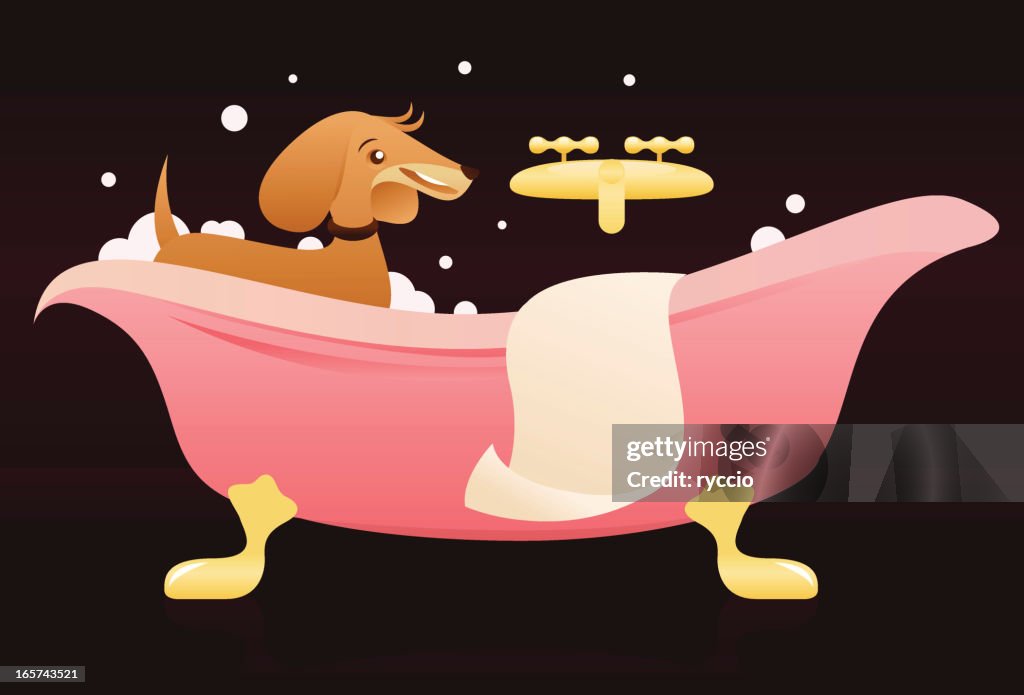 Dog bath