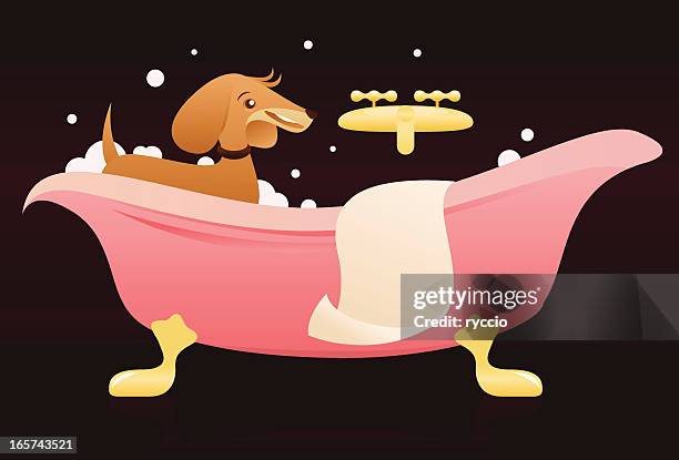 dog bath - facecloth stock illustrations