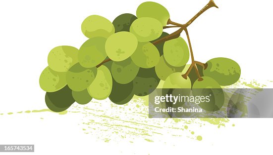 Grapes Grapes