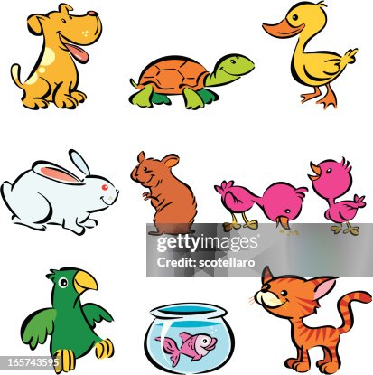 Multiple Pets Multiple Pets