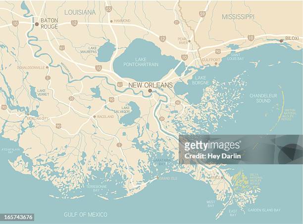new orleans region - gulf coast states stock illustrations