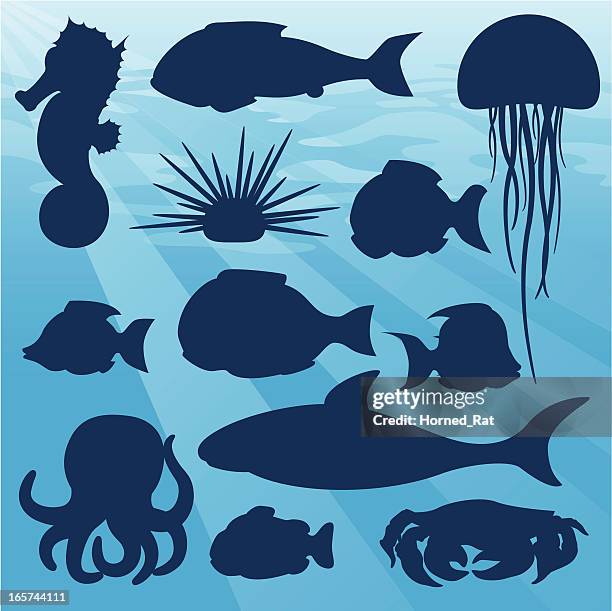 life aquatic - silhouette - jellyfish stock illustrations