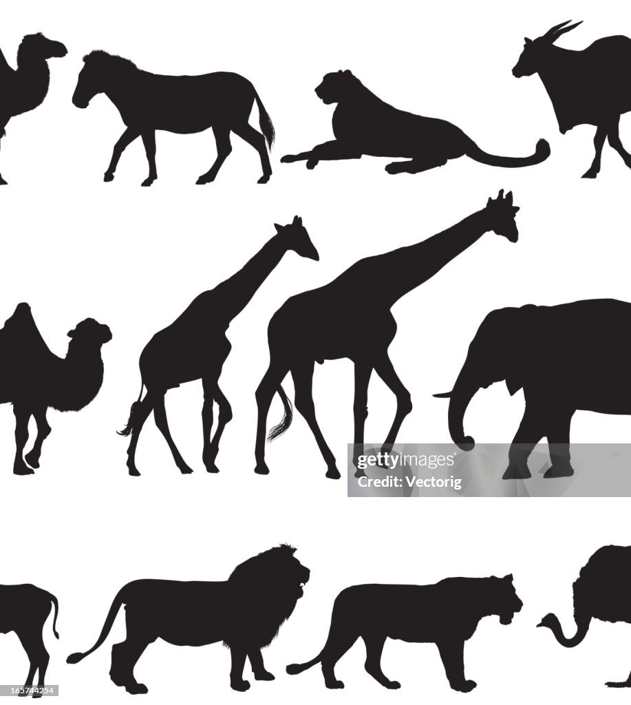 Silhouette Art Of Wild Animals In Black On White High-Res Vector Graphic -  Getty Images