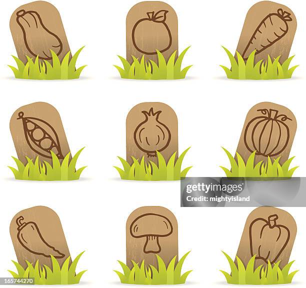 vegetable icon plant labels - chilli white background stock illustrations