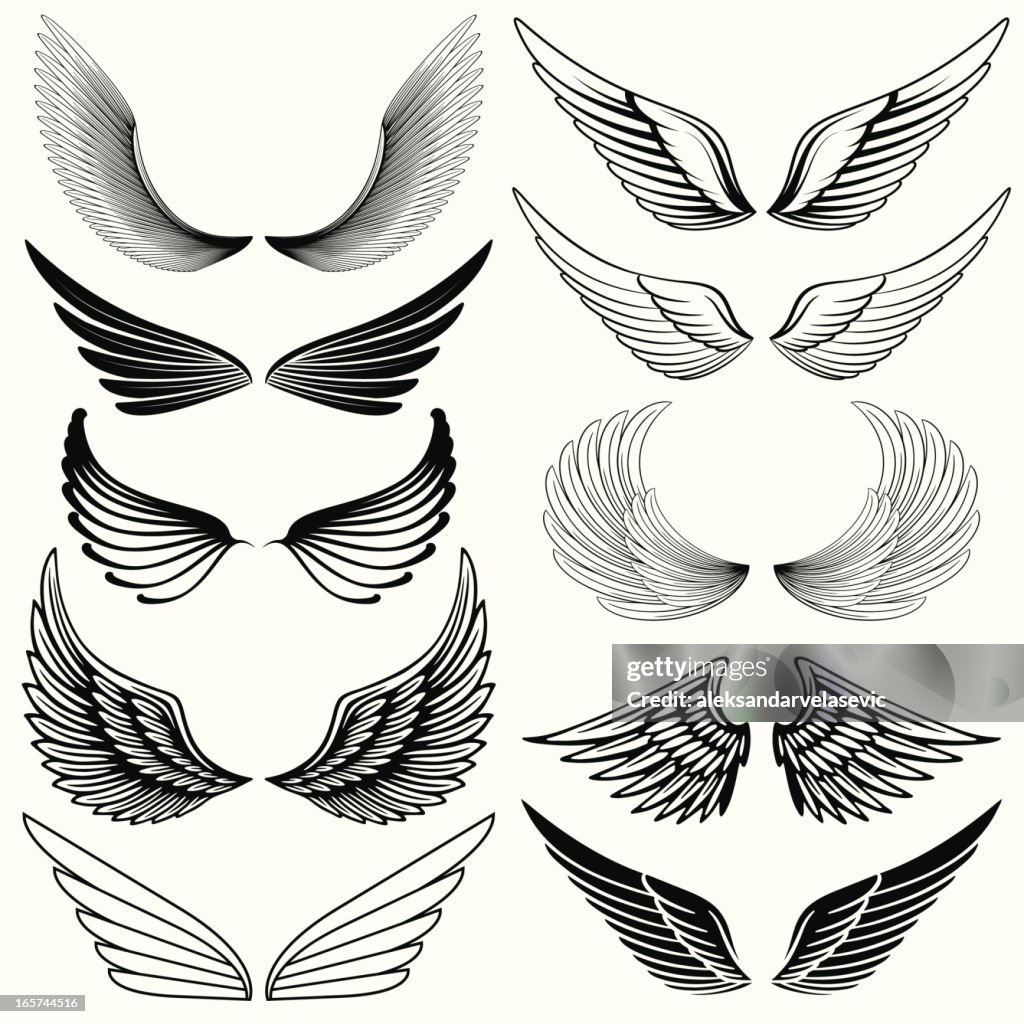 Winged Design Wing Design Elements High-Res Vector Graphic - Getty Images