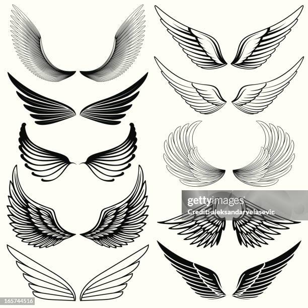 wing design elements - spread wings stock illustrations