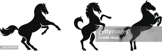 stockillustraties, clipart, cartoons en iconen met horse set - horse